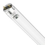 Philips T8 UV - C 17W - Ultraviolet | 60cm